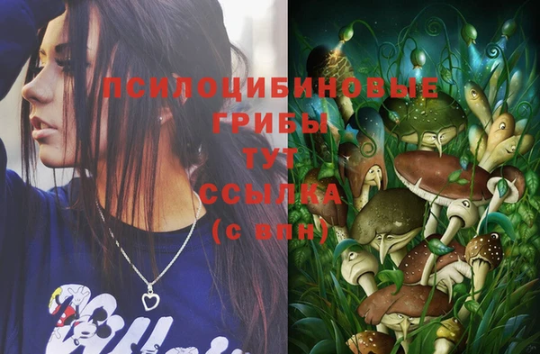 не бодяженный Белокуриха