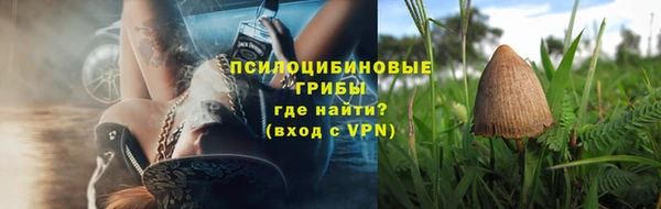 не бодяженный Белокуриха